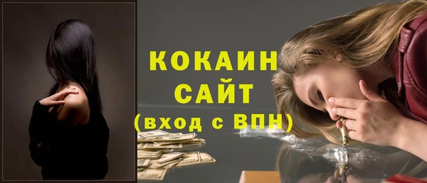 мет Няндома