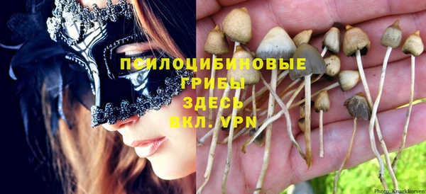 spice Абдулино