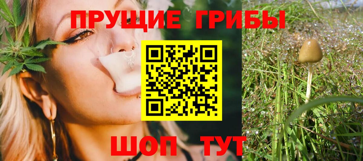 Галлюциногенные грибы мухоморы Шумерля