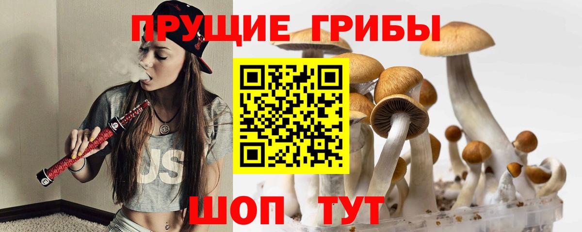 Шумерля  наркота  Вход с VPN  Галлюциногенные грибы Cubensis  Псилоцибиновые грибы ЛСД 