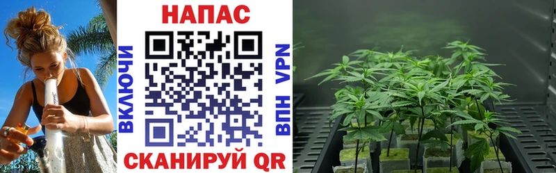 МАРИХУАНА Ganja  где найти   KRAKEN зеркало  Шумерля 
